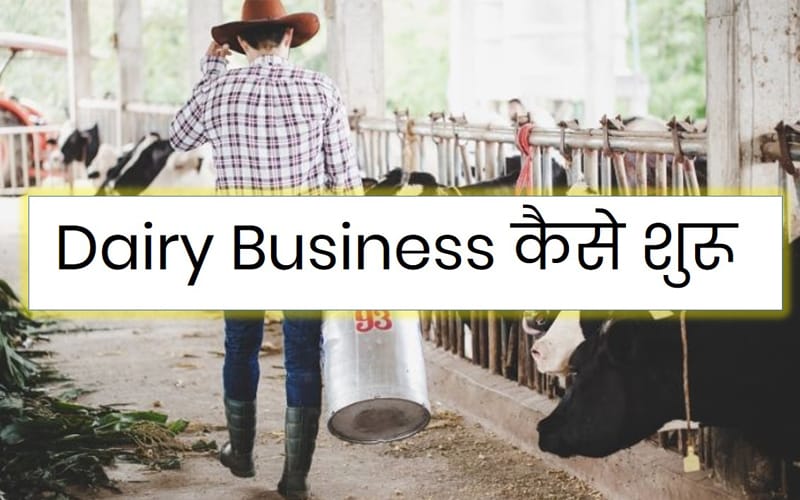 dairy business details hindi