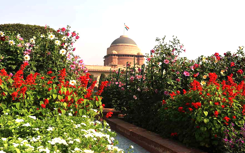 MUGHAL GARDAN 2