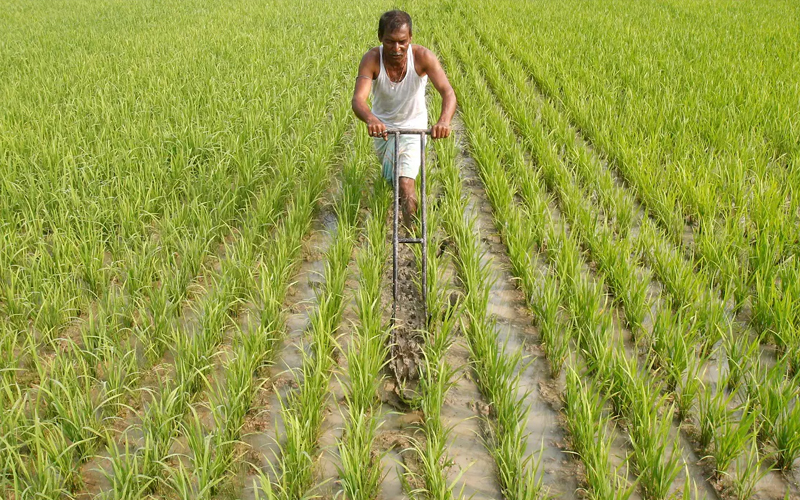 indian farmer scheme