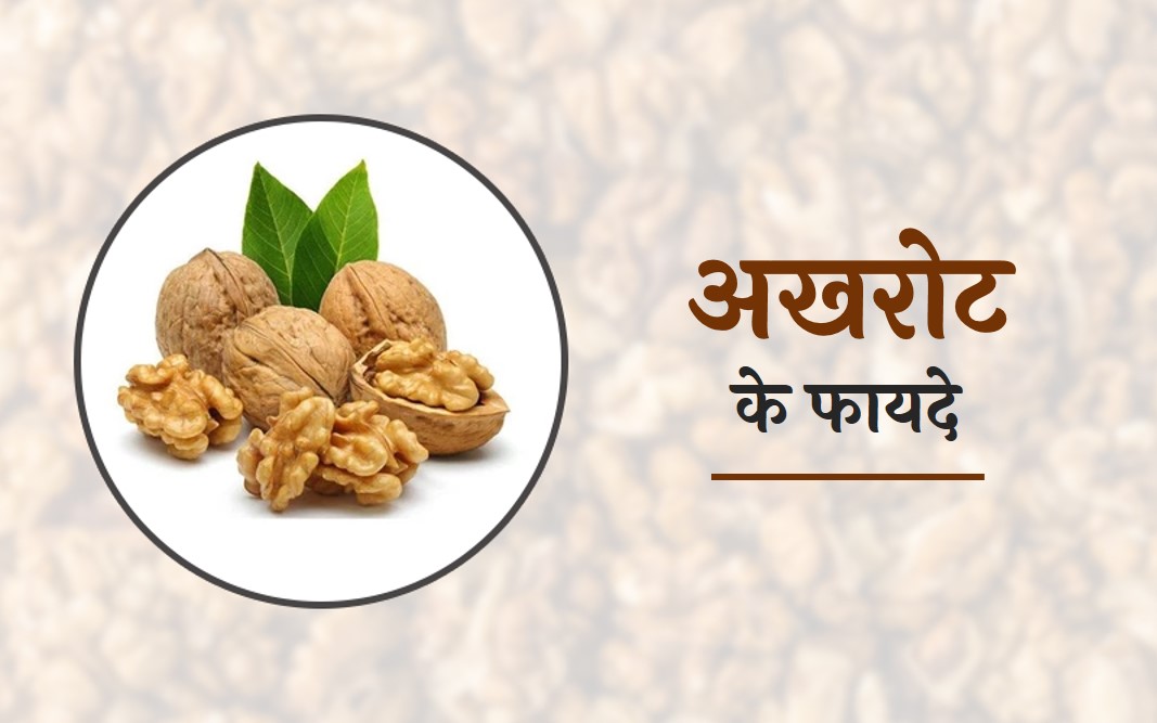 Akhrot benefits भीगे हुए अखरोट बना देंगे सेहत, जानें अखरोट खाने का सही